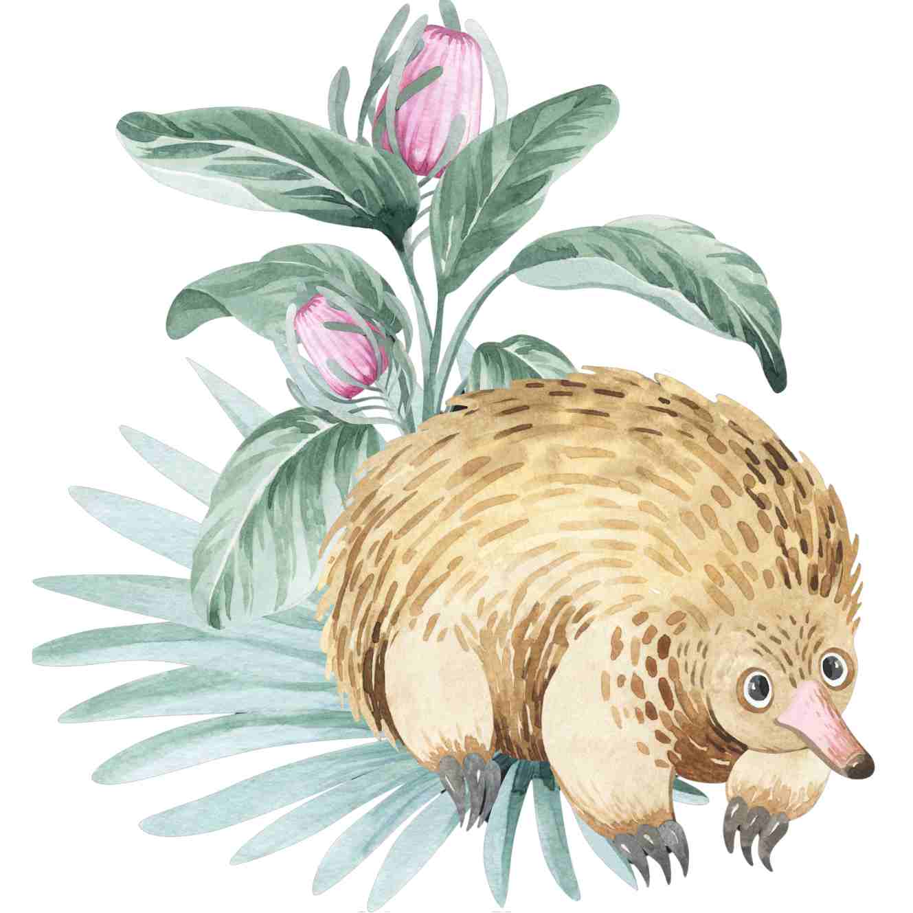 UV-DTF Australian Animals Decals