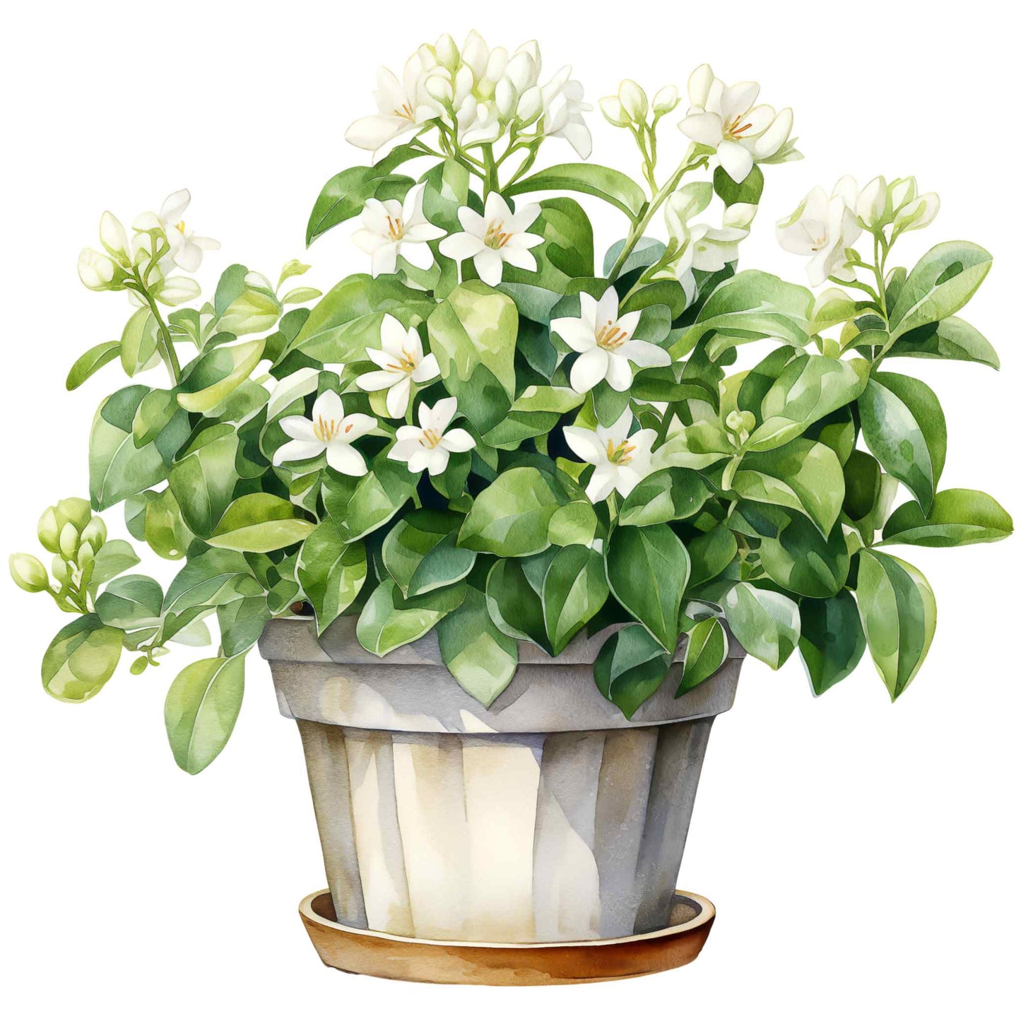 UV-DTF Pot Plant Paradise Decals