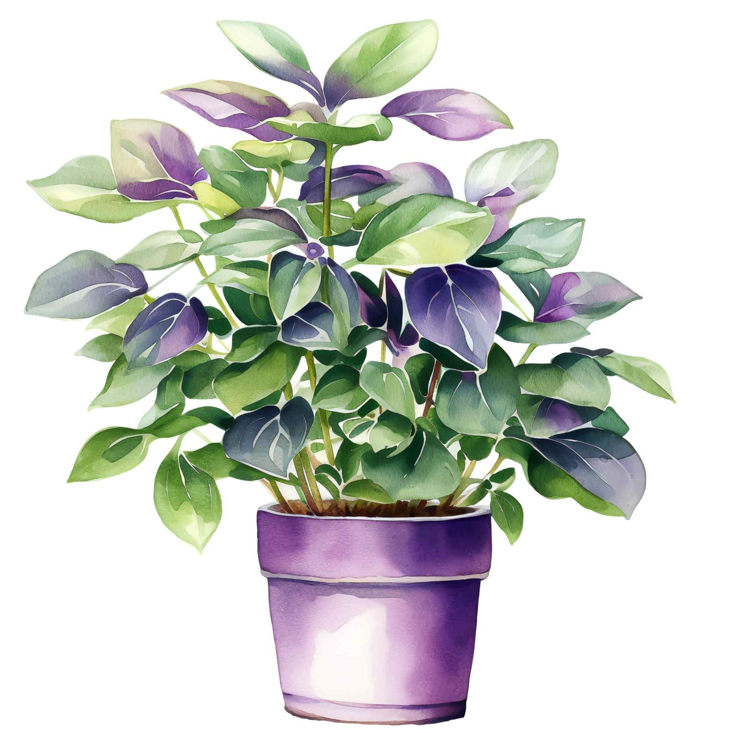 UV-DTF Pot Plant Paradise Decals