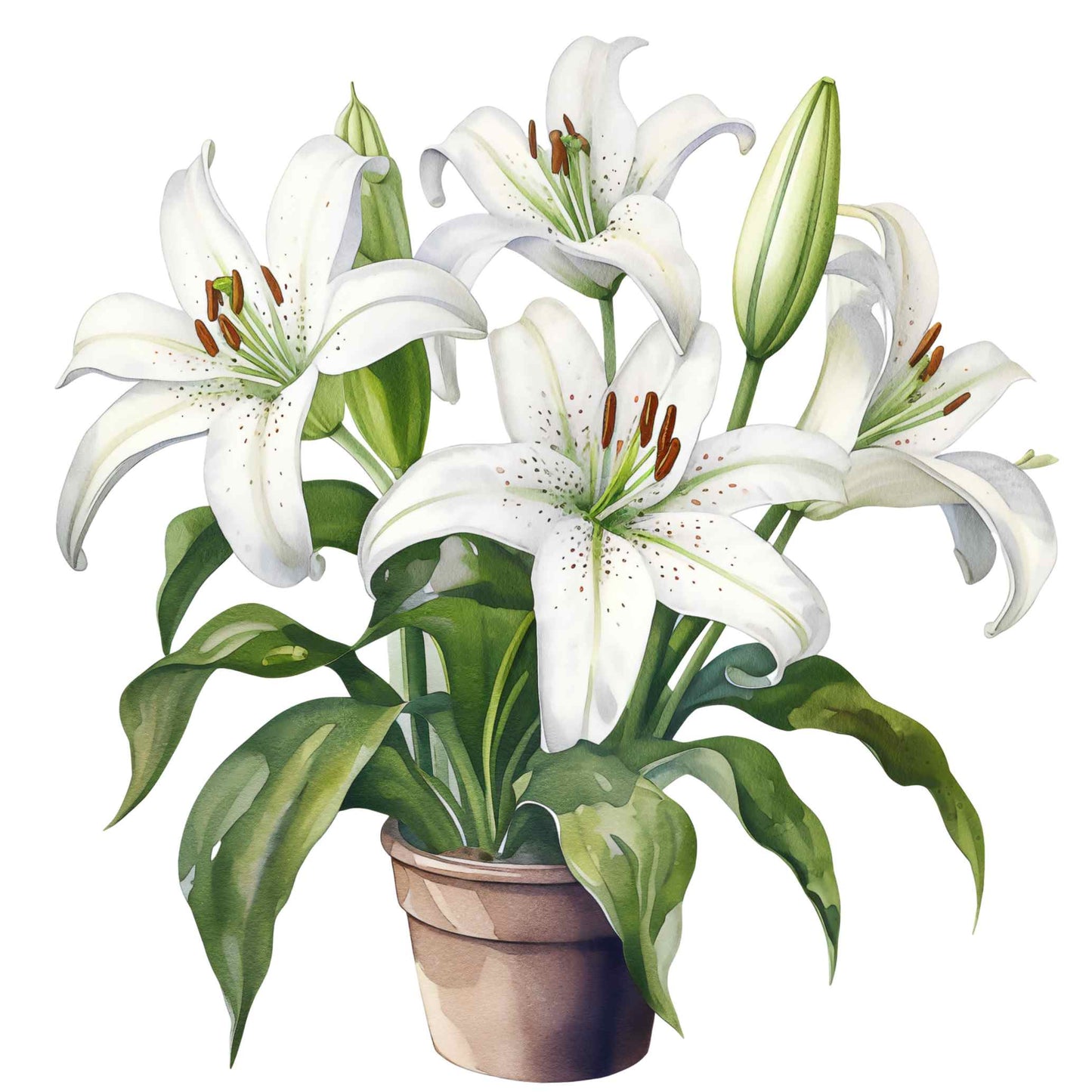 UV-DTF Pot Plant Paradise Decals