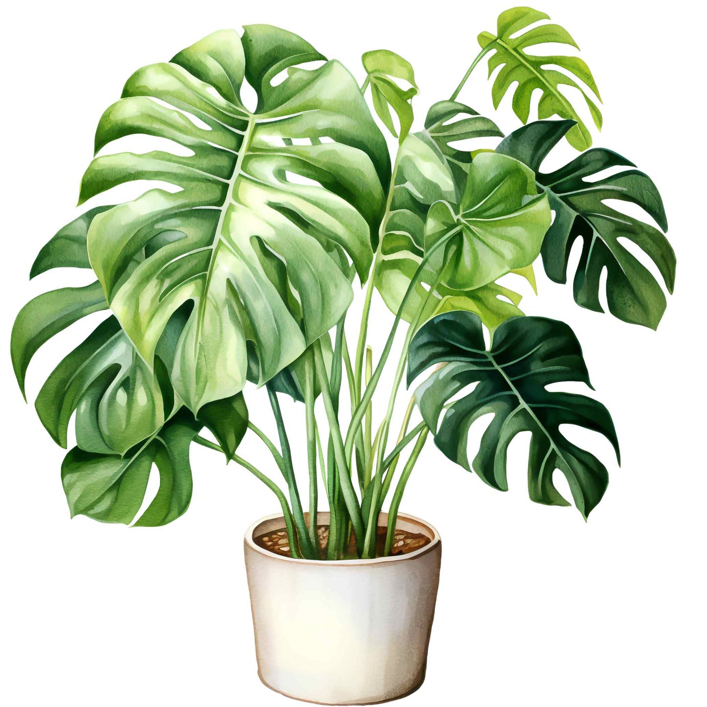 UV-DTF Pot Plant Paradise Decals