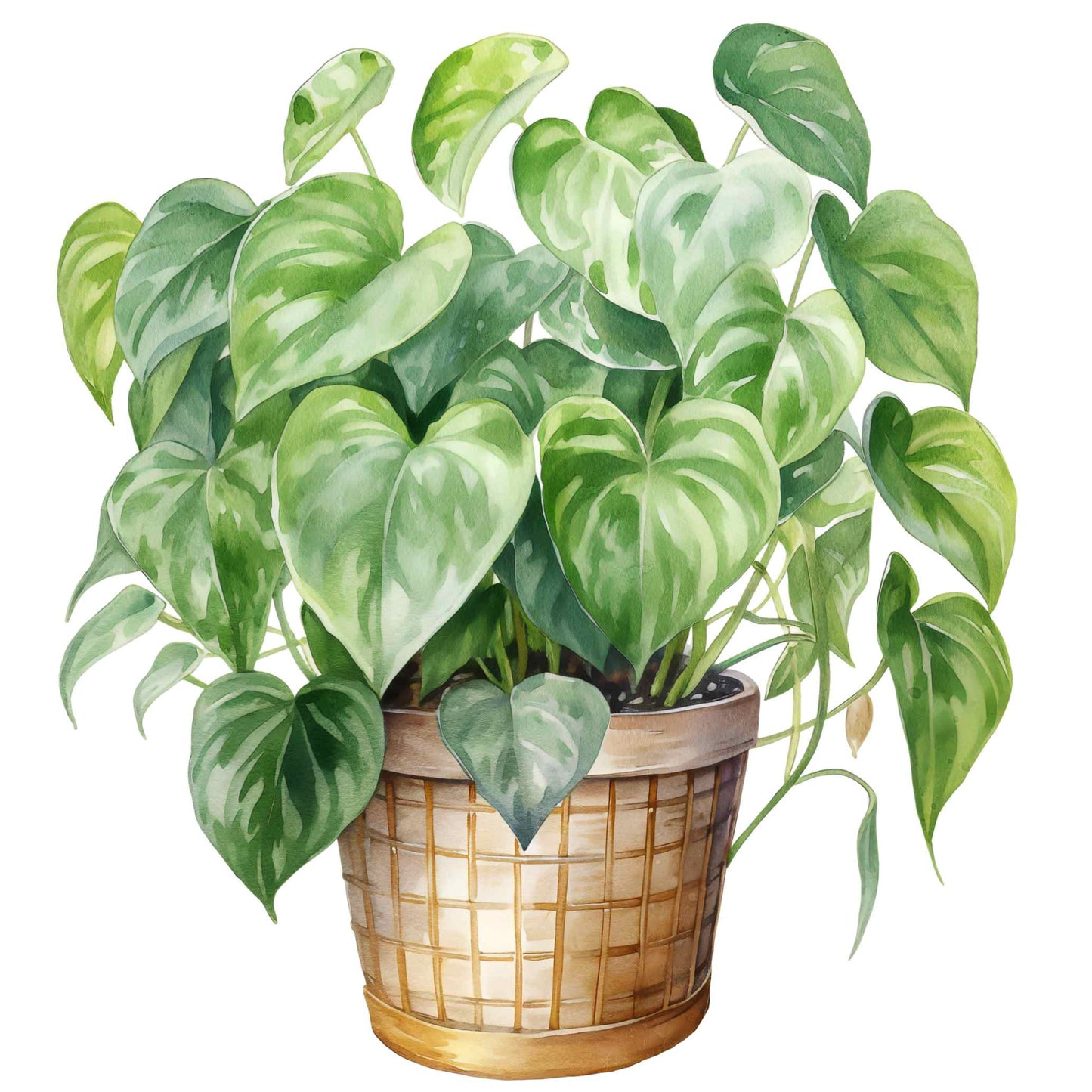UV-DTF Pot Plant Paradise Decals