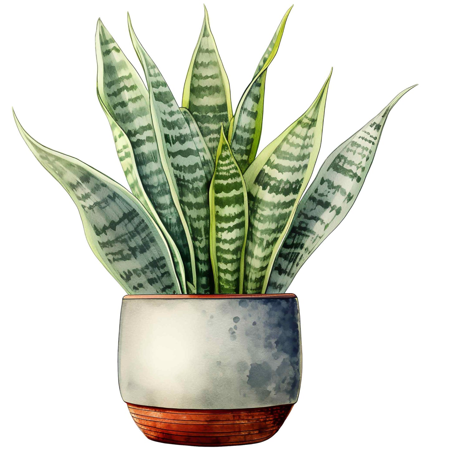 UV-DTF Pot Plant Paradise Decals