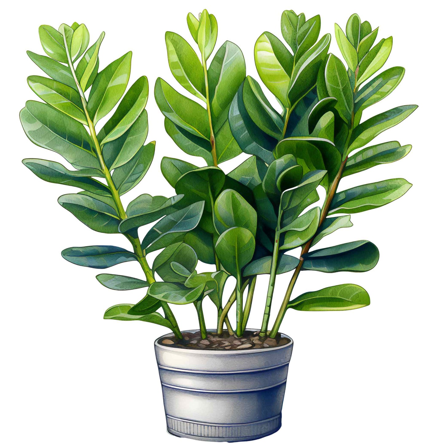 UV-DTF Pot Plant Paradise Decals