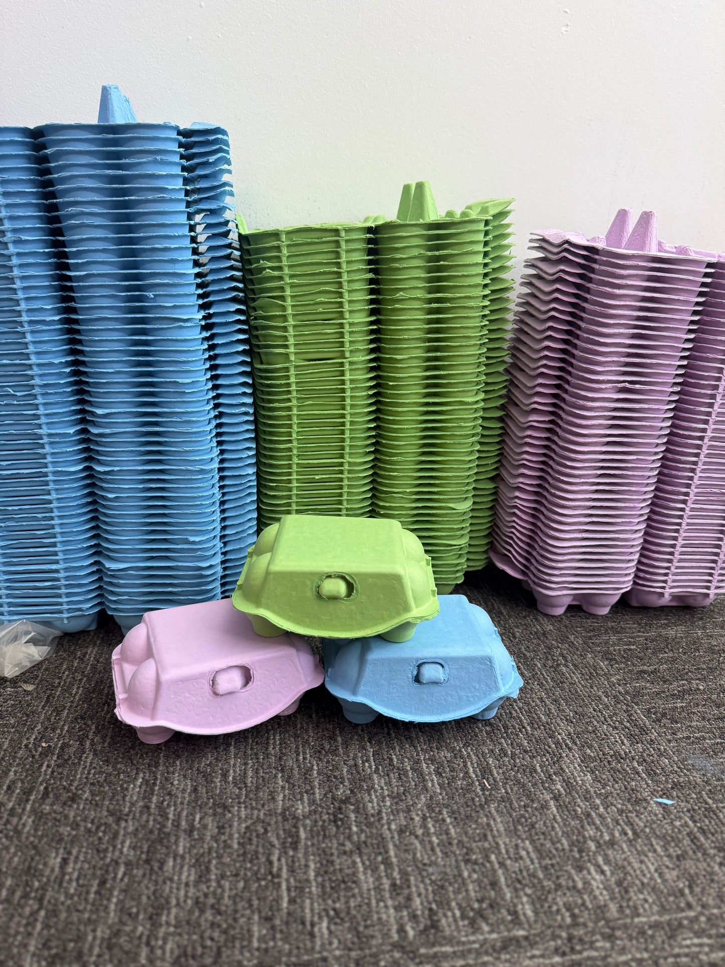 6 Hole Coloured Egg Cartons.